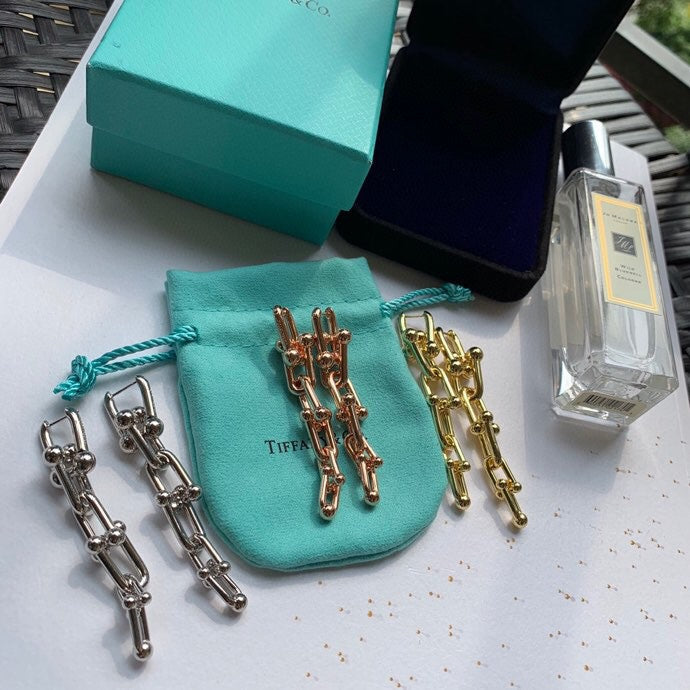 18K Tiffany HardWear Graduated Link Earrings